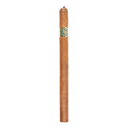 Casdagli Daughters of the Wind Cremello Lancero