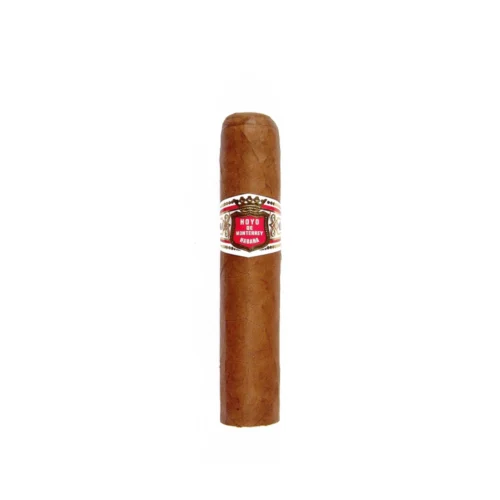 HOYO DE MONTERREY Petit Robusto