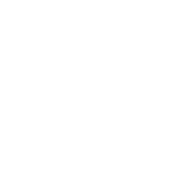 Plasencia Cigars Logo