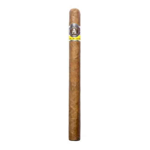 Aladino Corojo Elegante Lancero